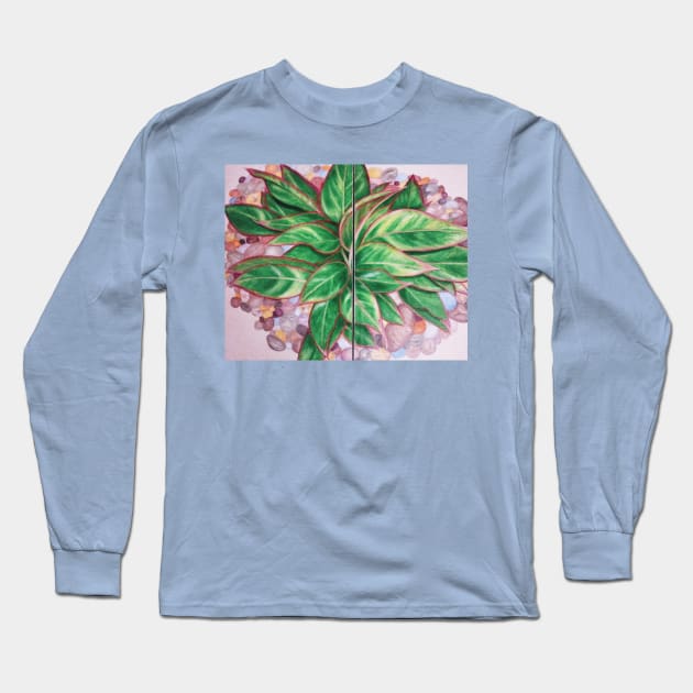 Chinese Evergreen Long Sleeve T-Shirt by ocsjake613